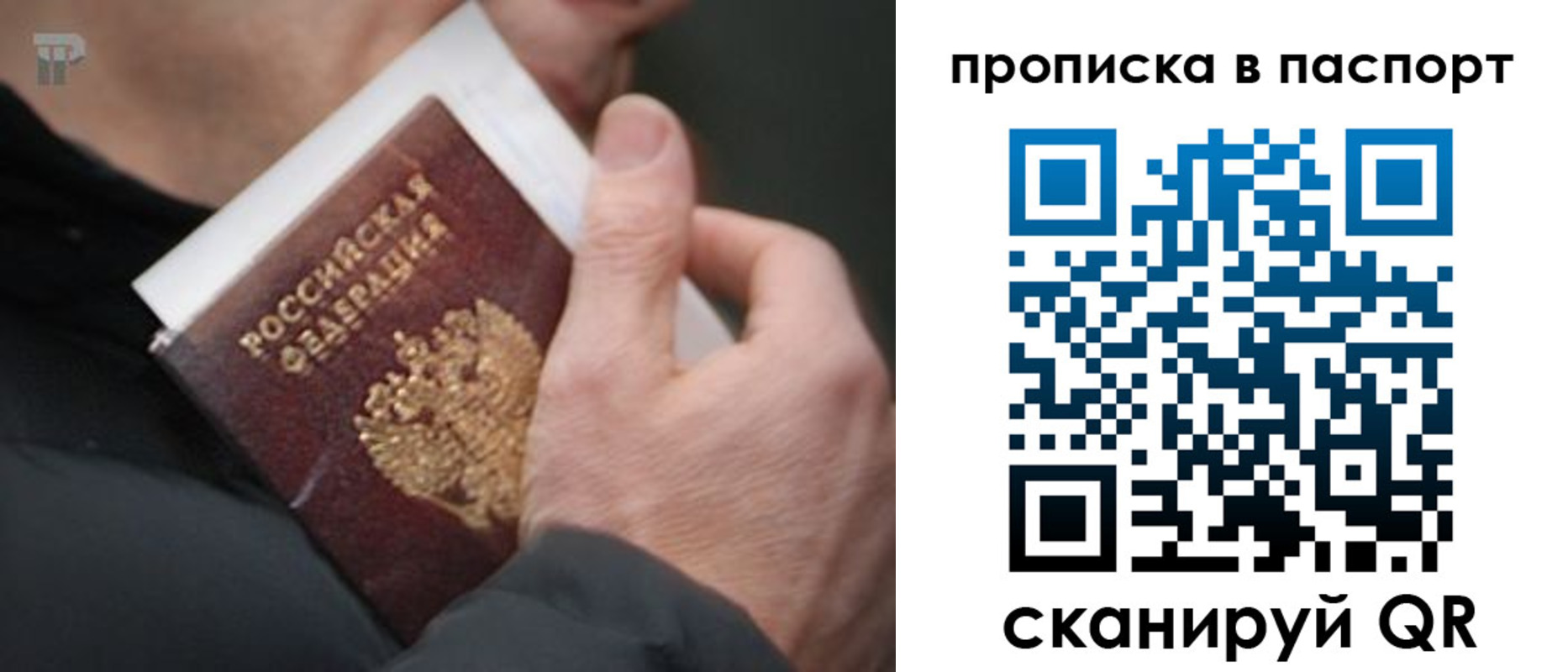 прописка законно в Владимире